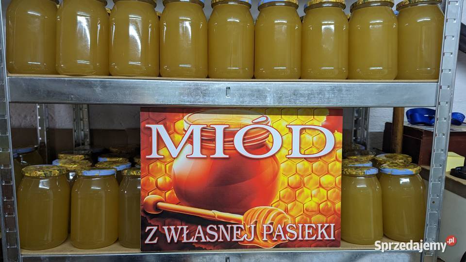 Miód rzepakowy z własnej ekologicznej pasieki Gostyń