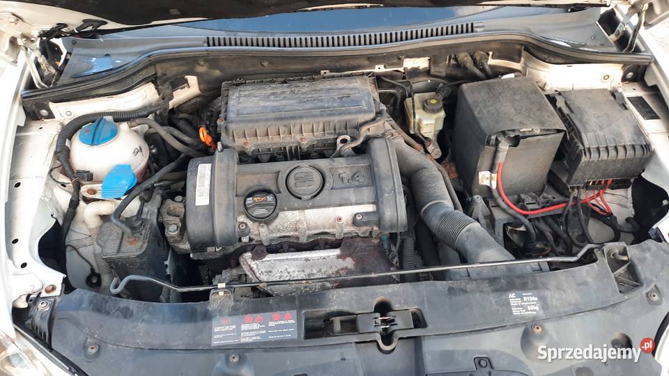 Seat Leon 14 14V Benzyna Klima sprawna Alu Super Kraśnik