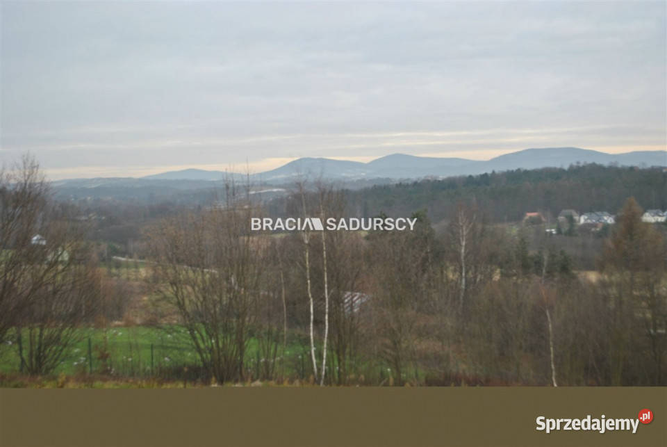Działka 22100 metrów Głogoczów 22100m2