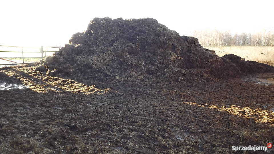 obornik bydlęcy sprzedam zamienię na słomę Pozostałe Sośno sprzedam