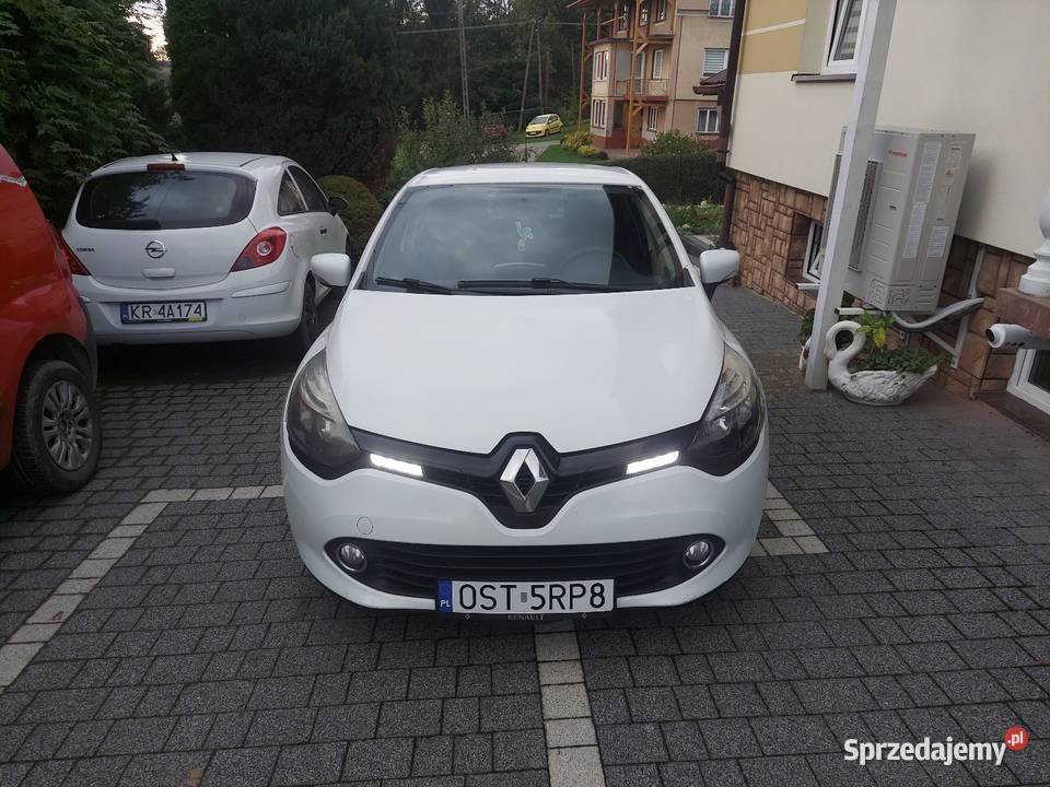 Renault Clio 2004 Blizne