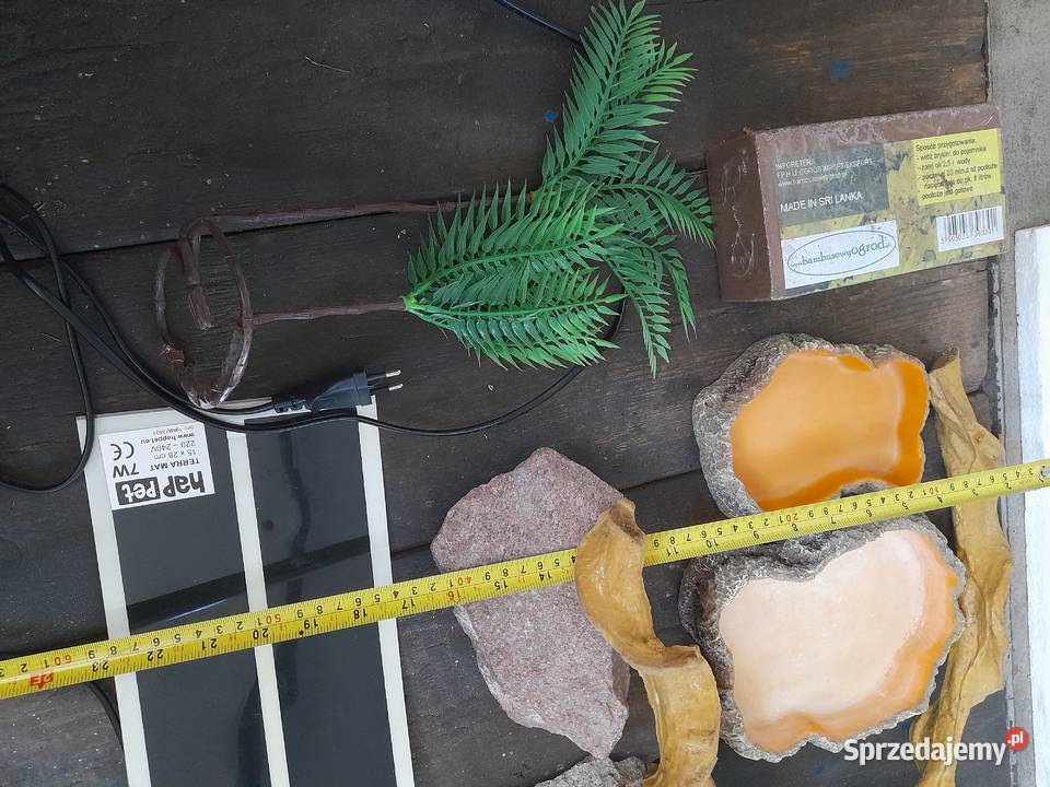 wyposażenie terrarium graty gada miseczki mazowieckie Warszawa