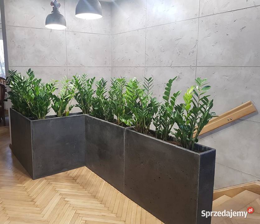 Donica betonowa 70x70x70 beton architektoniczny Rawicz