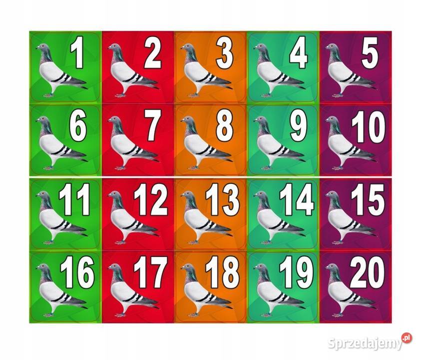 Naklejki na Tipesy Znaczniki Gołębie na obrączki śląskie Zawiercie