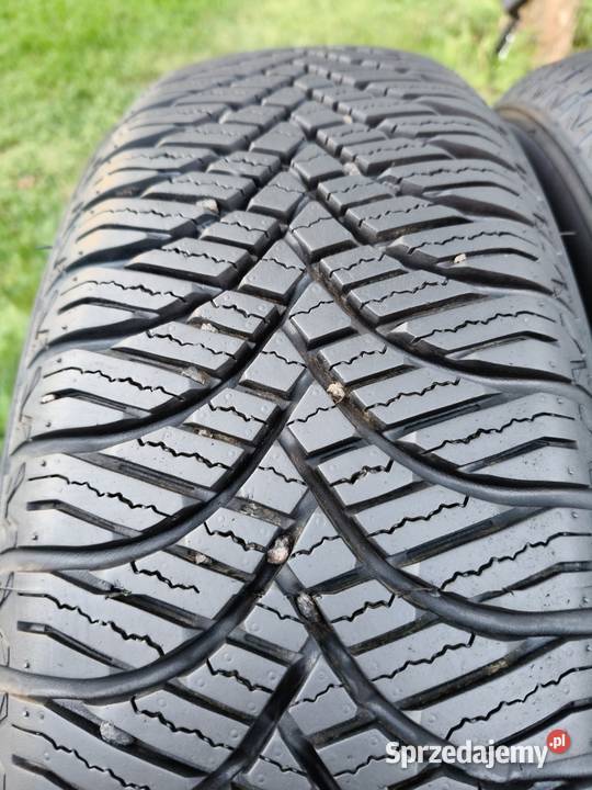 16570 R14 Goodride AllSeason Elite 2025 DEMO wielkopolskie Binkowo