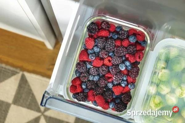 Lodówka Gorenje N619EAXL4 NoFrost MultiFlow Skawina