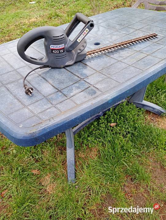 Dom i ogrod Krosno Odrzańskie sprzedam