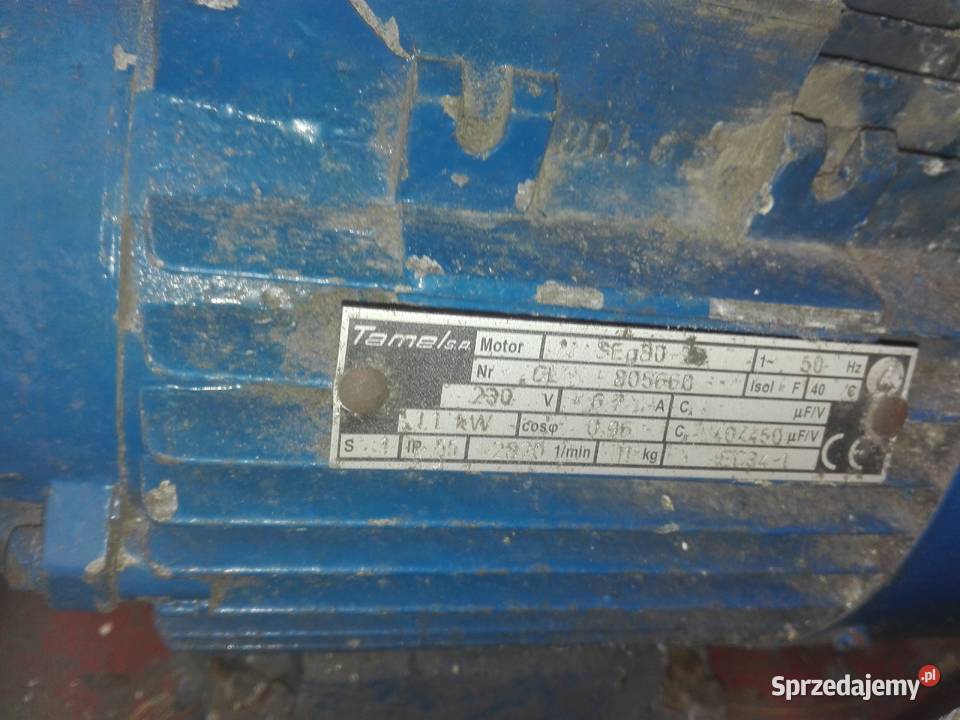 Szorowarka walcowa do podłóg Bukowiec sprzedam