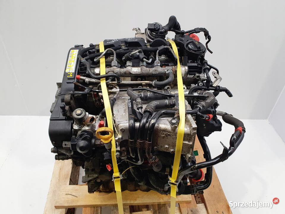 SILNIK CXX VW Golf VII Seat Leon III 16 TDI 110 Rudka sprzedam