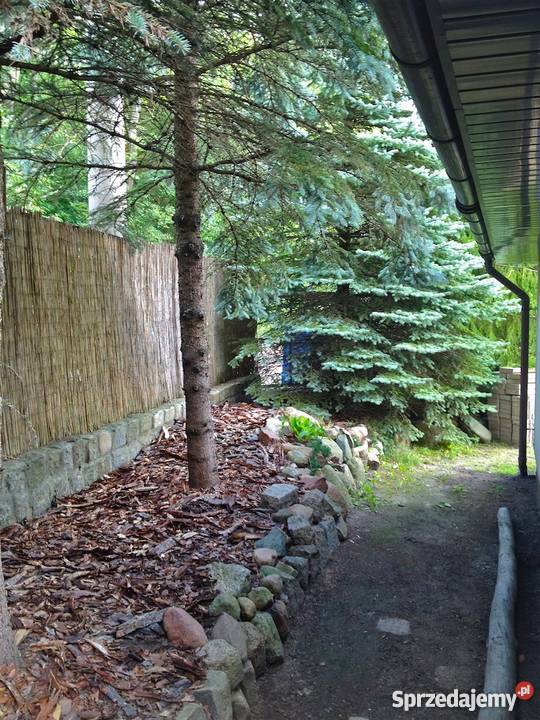 Sprzedam nieruchomość wodą Kurów Domy