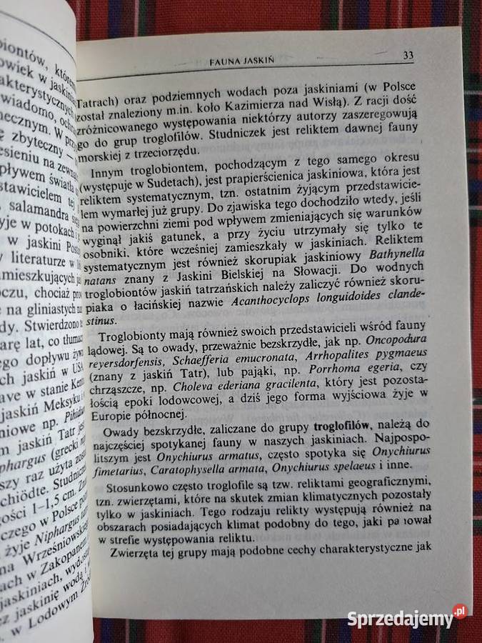 Turystyczne jaskinie TatrCh Parma A Rajwa miękka Kraków sprzedam
