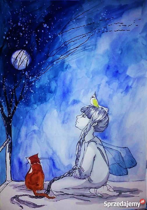 Praca akwarelą i piórkiem Z papugą na głowie A Katowice sprzedam