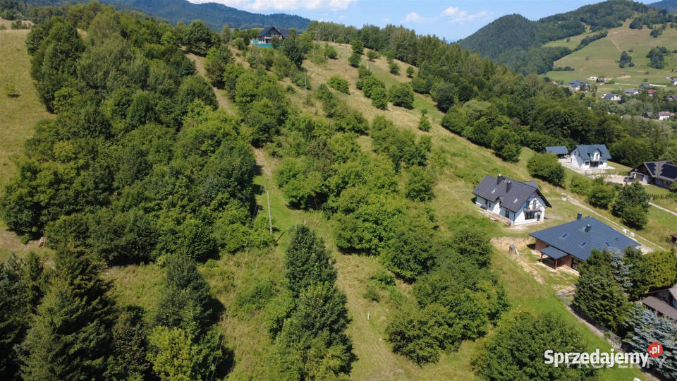 sprzedaży gruntu PiwnicznaZdrój 3250m2 Piwniczna-Zdrój