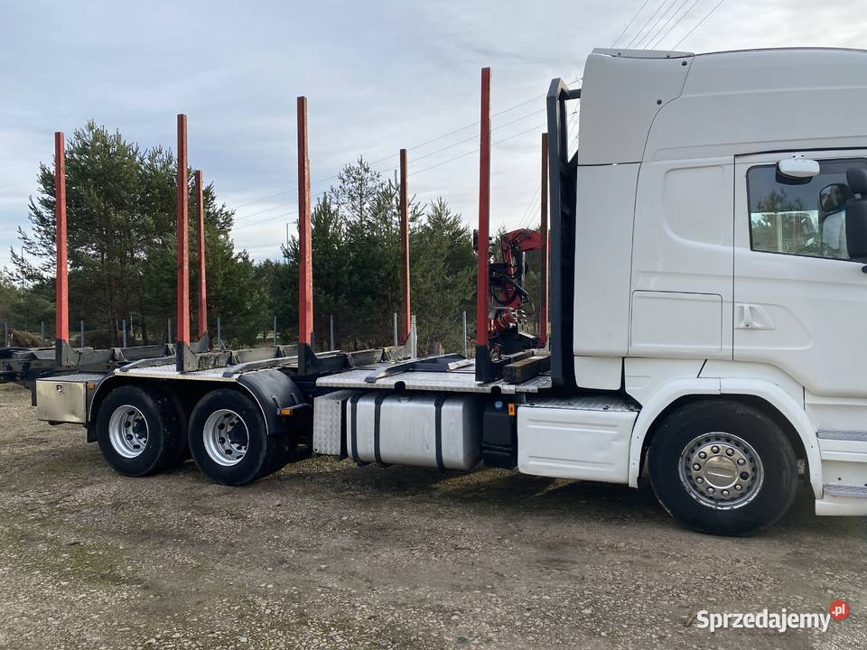 Do drzewa drewna lasu Biłgoraj