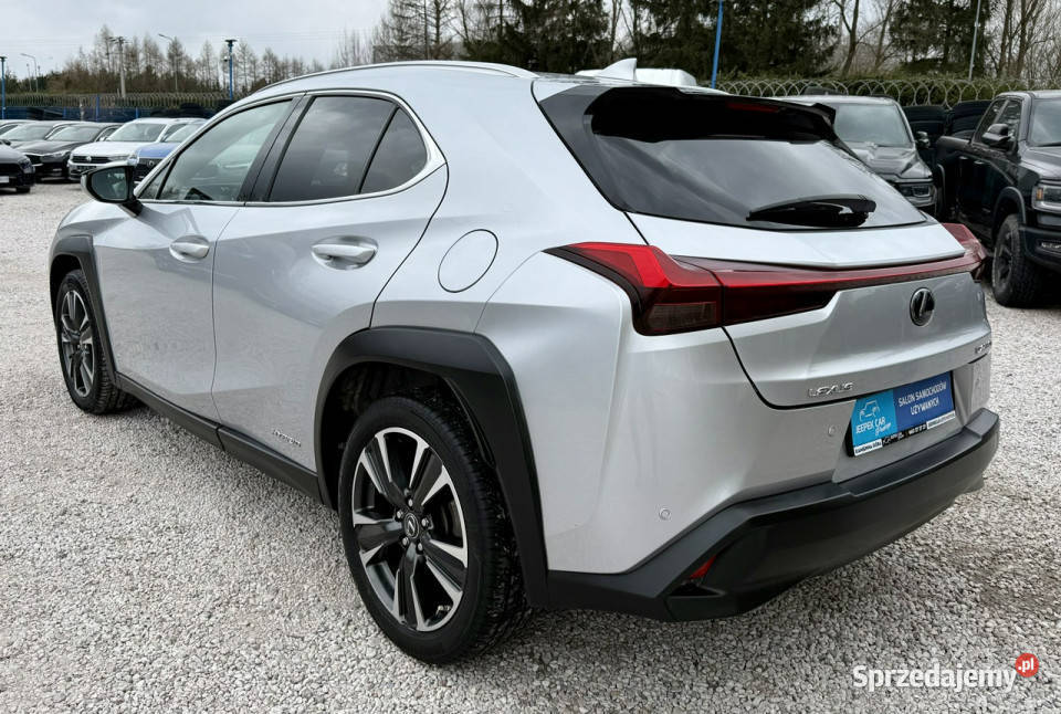 Lexus UX 250hHybryda4x4Gwarancja elektrochrom. lusterko wst. Kamienna Góra