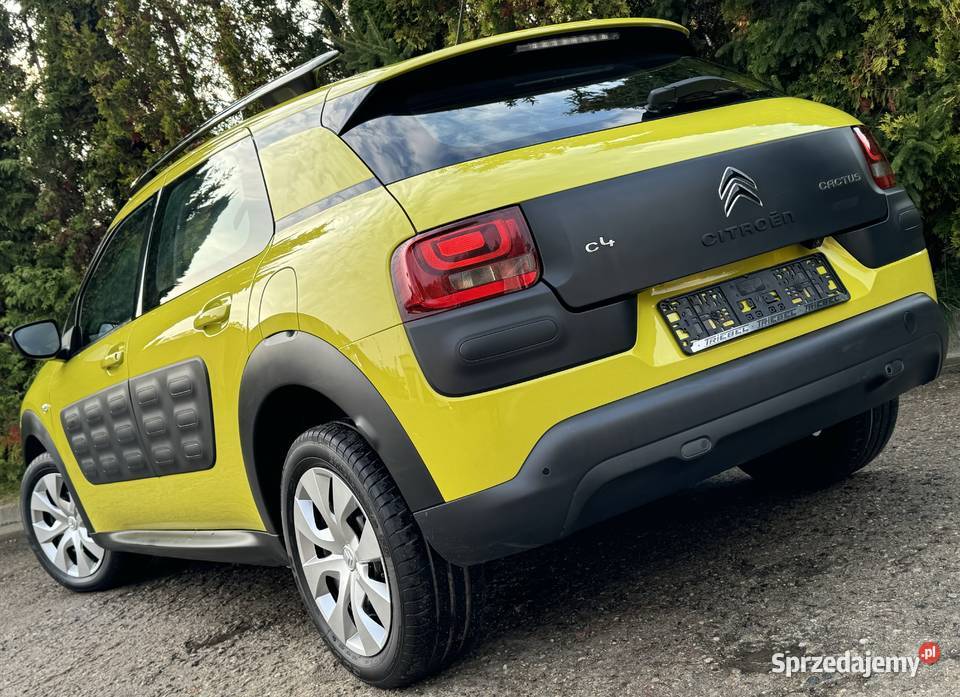 CITROEN C4 CACTUS 12 82 Ledy Kamera Klimatronik warmińsko-mazurskie Elbląg