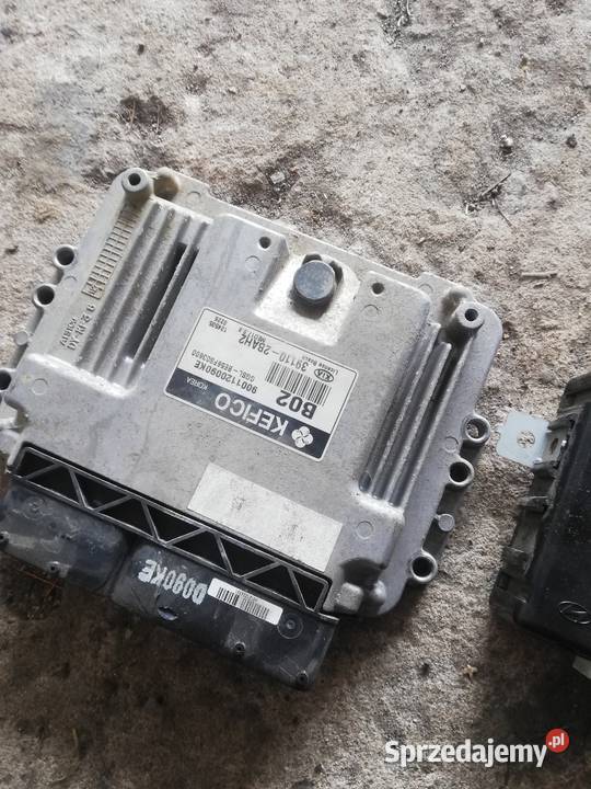 komputer zestaw startowy kia sportaga Wieluń