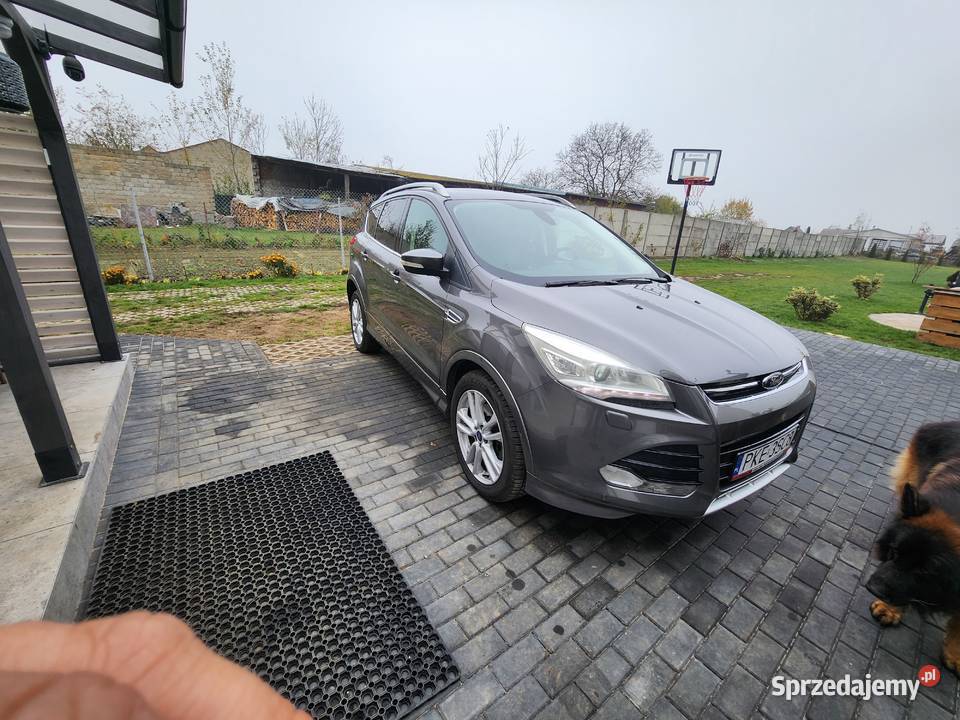 Kuga 145000km Laski
