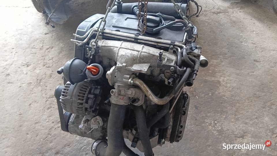 Silnik 20TDI 103kW BKD 223189 kompletny Nysa sprzedam