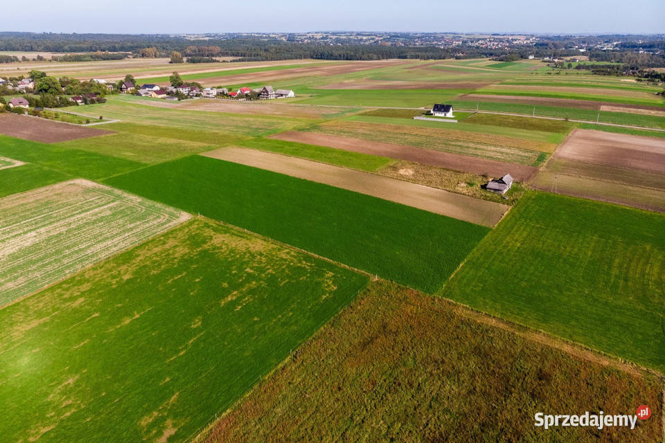 Gospodarstwo rolne Gmina Wolbrom Lgota Wolbromska