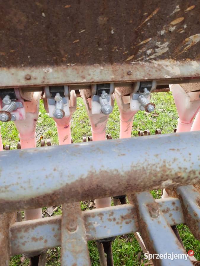 Siewnik Poznaniak nieuszkodzony lubelskie Wysokie