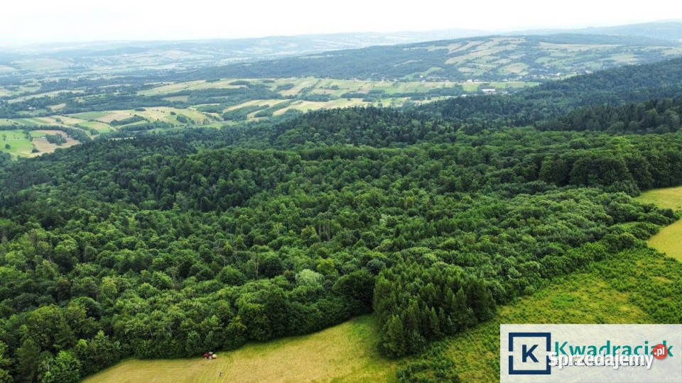 Działka do sprzedania Stary Żmigród 96100m2 Sprzedaż podkarpackie