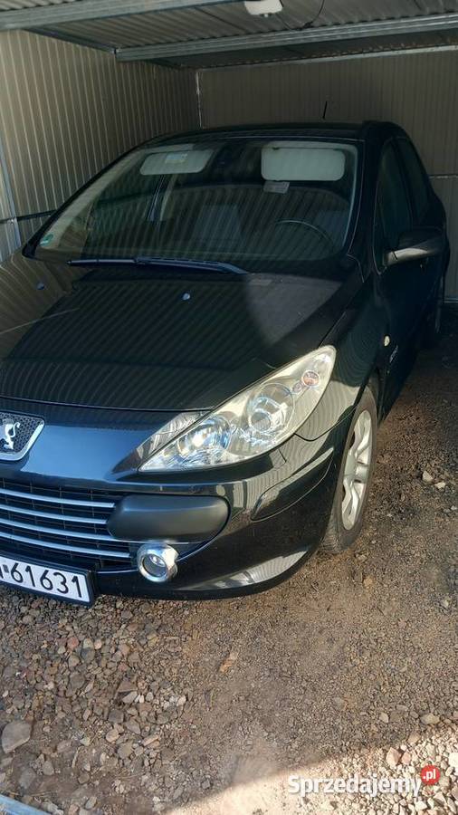 Peugeot 307 16 benzyna Błotnica