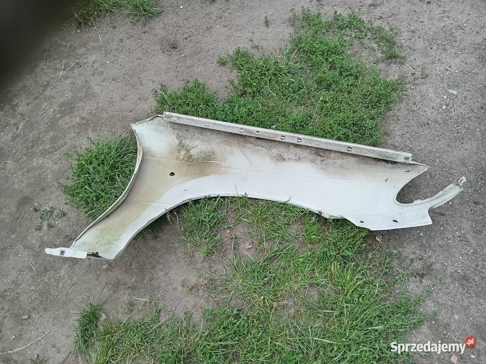 Seicento błotniki łódzkie