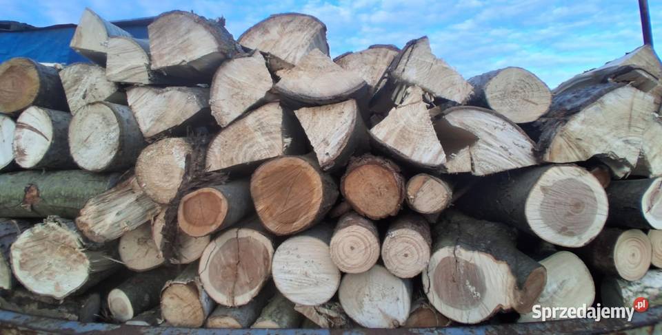 Drewno opałowe w 250 m3 wielkopolskie