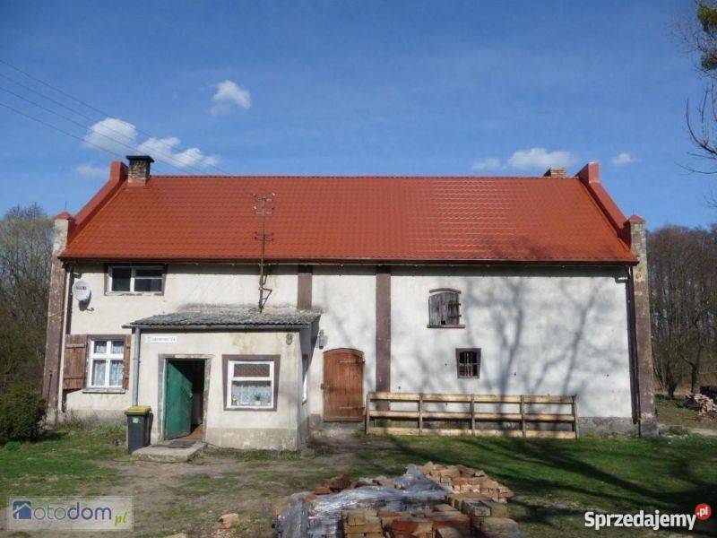 Gospodarstwo Dom Siedlisko w Lubuskim 16000m2 Jasieniec