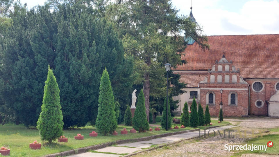 Działka 9113m2 Zakroczym