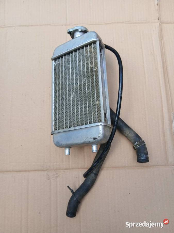Chlodnica Rieju 50 RR lubuskie sprzedam