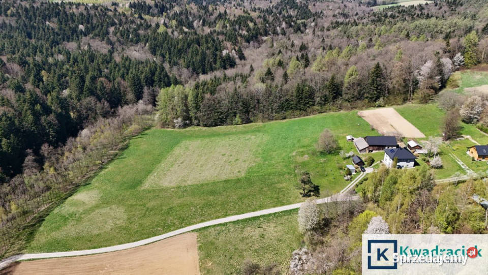 Działka 12569m2 Niepla