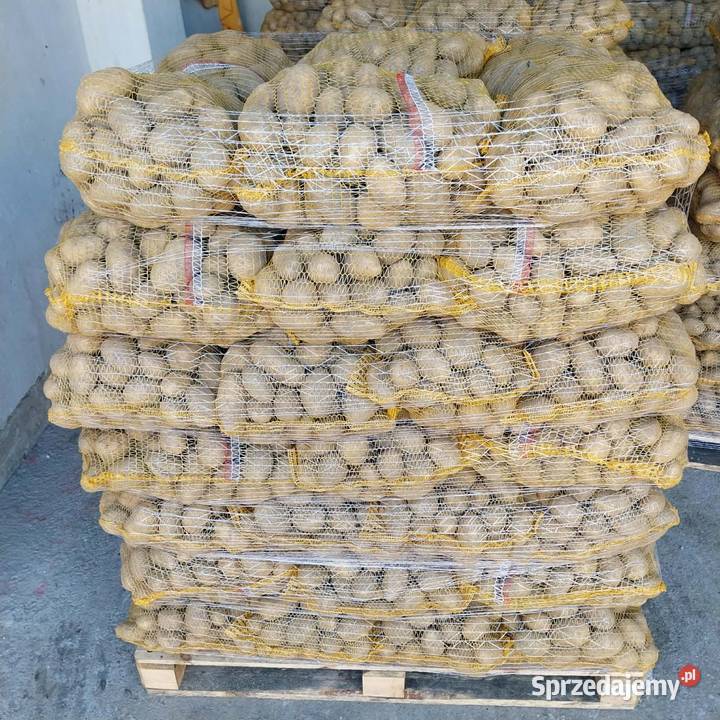 Sprzedam Ziemniaki Uściszowice