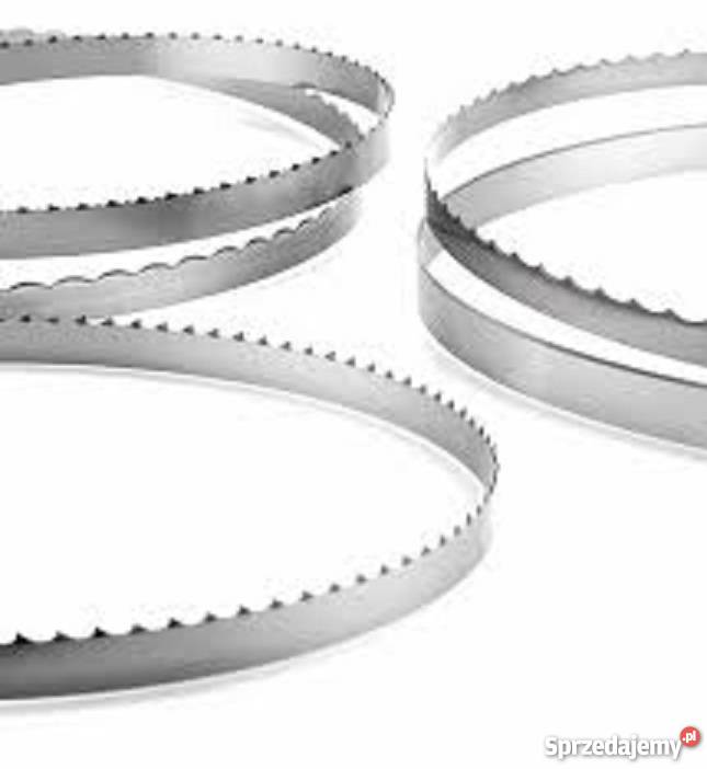 Piły do mięsa i kości 2904x19x055mm z zebem Siedlce