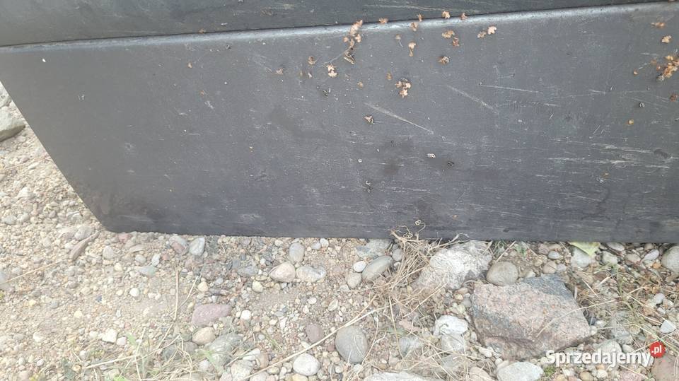 Drzwi Renault Scenic I Karoseria