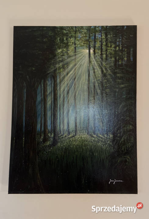 Obraz akrylowy Las Nowy Sącz sprzedam