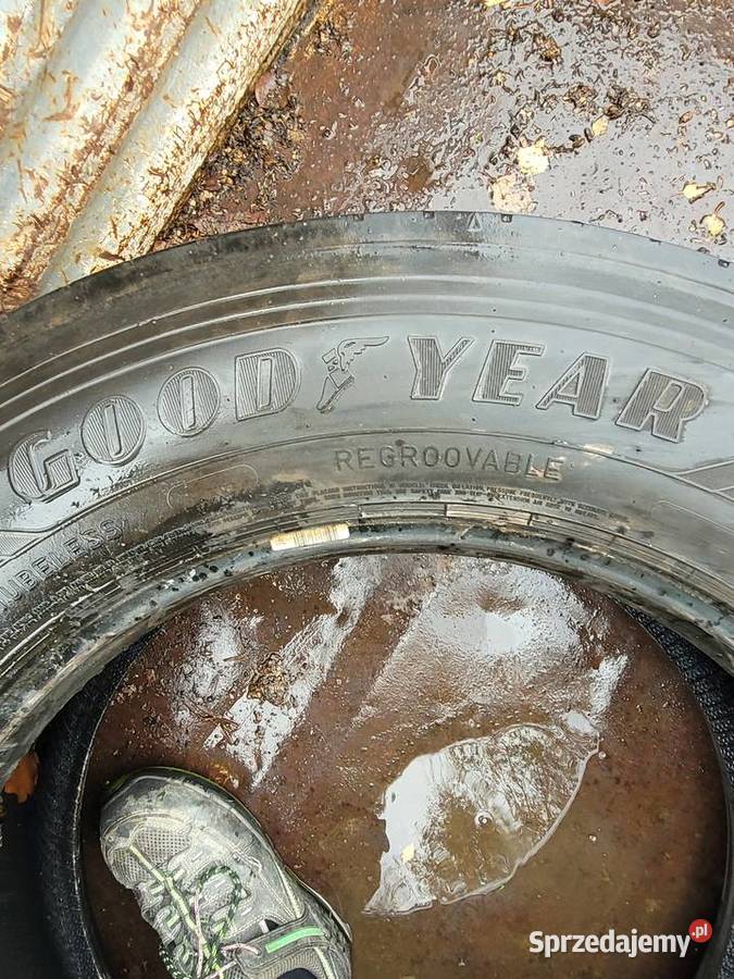 Opona 31560225 Goodyear