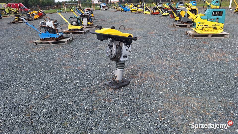 Skoczek Stopa WACKER NEUSON BS 502 plus 11in dolnośląskie Trzebnica