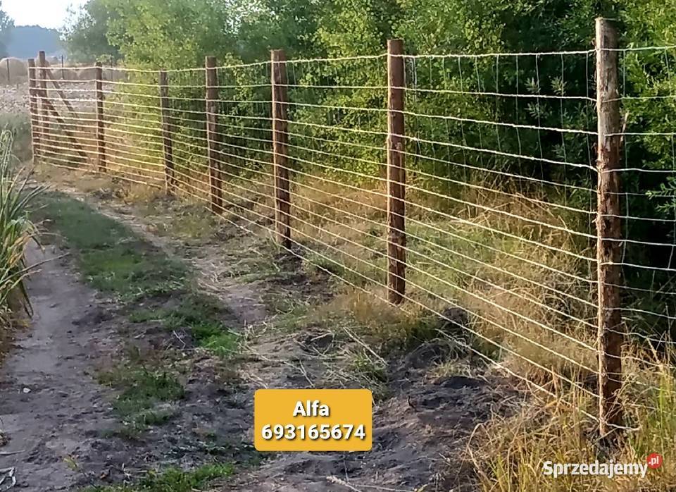 Brama tymczasowa budowlana techniczna drewniana skrzydłowa Lubin
