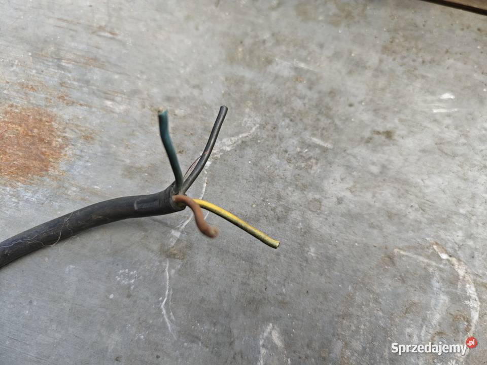 Piła stołowa krajzega Lutz Żory