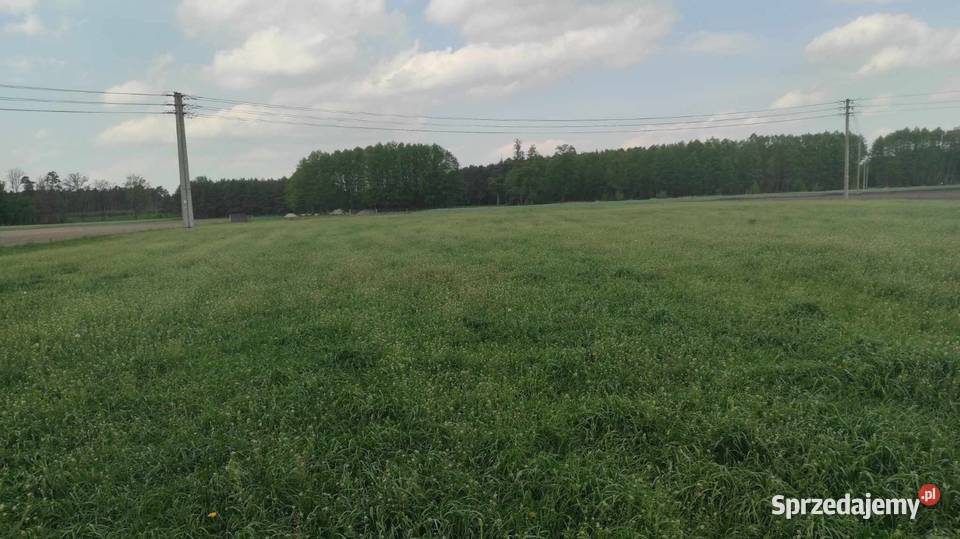 Sprzedam działki Czeszewo