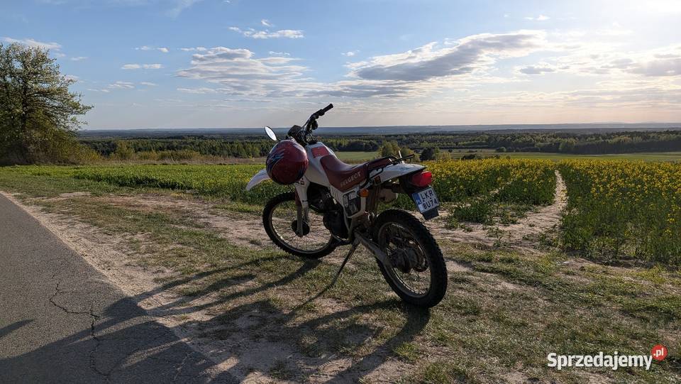 Peugeot XP LC 50ccm niespotykany w Polsce Kraśnik