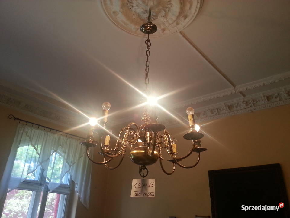 Żylandor dolnośląskie