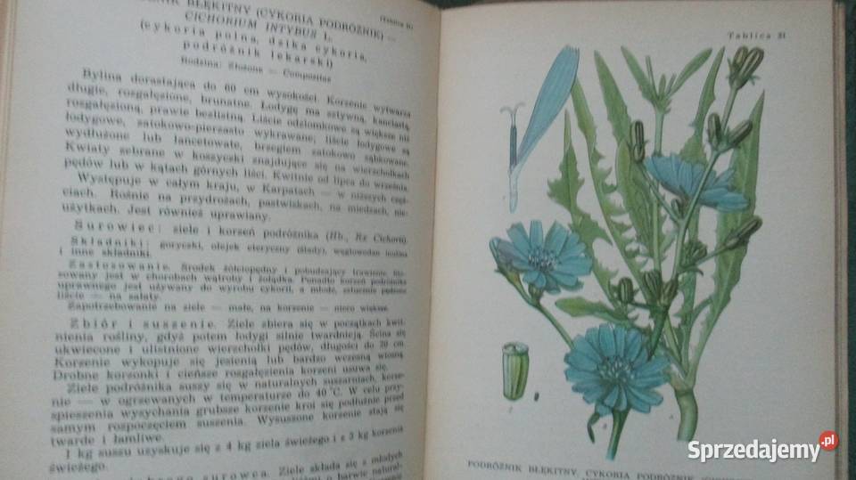 Przewodnik do oznaczania krajowych roślin biologia, ekologia Łódź sprzedam