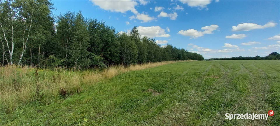 Działki w Cieszowie Sprzedaż Cieszów sprzedam