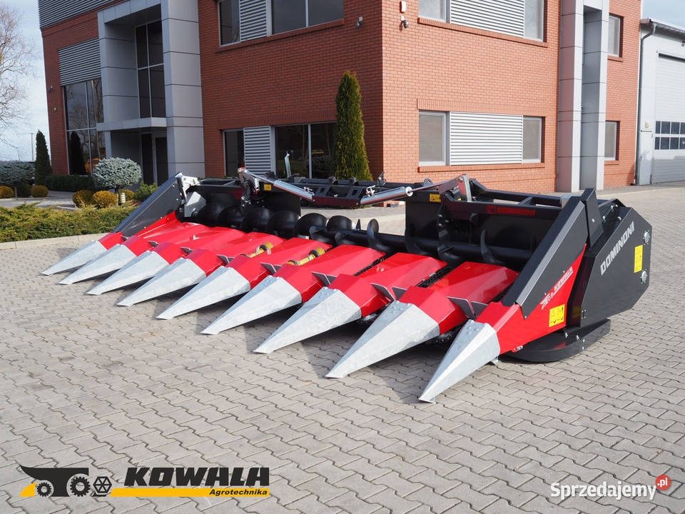 Dominoni SL 978 BG ROCK Heder do kukurydzy Claas Stęszew