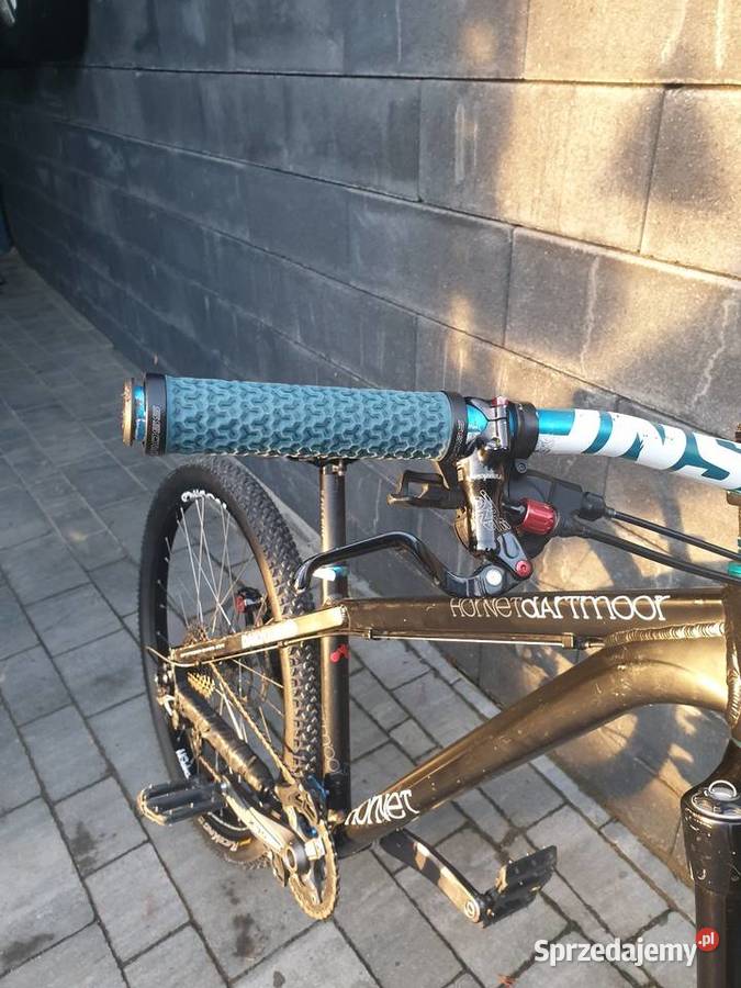 Dartmoor hornet Skawina sprzedam