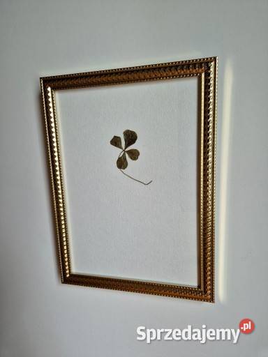 Koniczyna czterolistna ślubny prezent prezent Brzesko