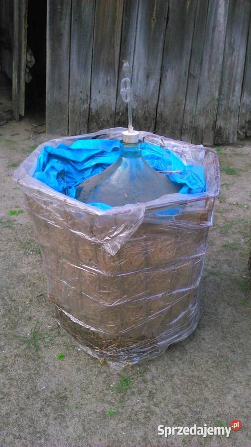 Gąsior balon na wino Franciszkany